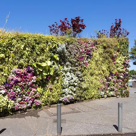 Home2book Stylish Sea Views Cruz *