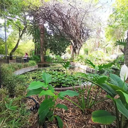 Διαμέρισμα Home2book Stylish Sea Views Cruz Σάντα Κρουζ Τενερίφης