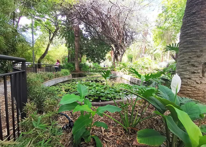 דירה Home2book Stylish Sea Views Cruz סנטה קרוז דה טנריף