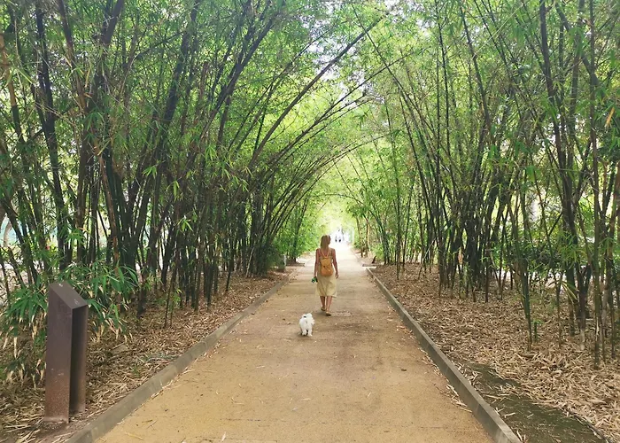 Home2book Stylish Sea Views Cruz סנטה קרוז דה טנריף