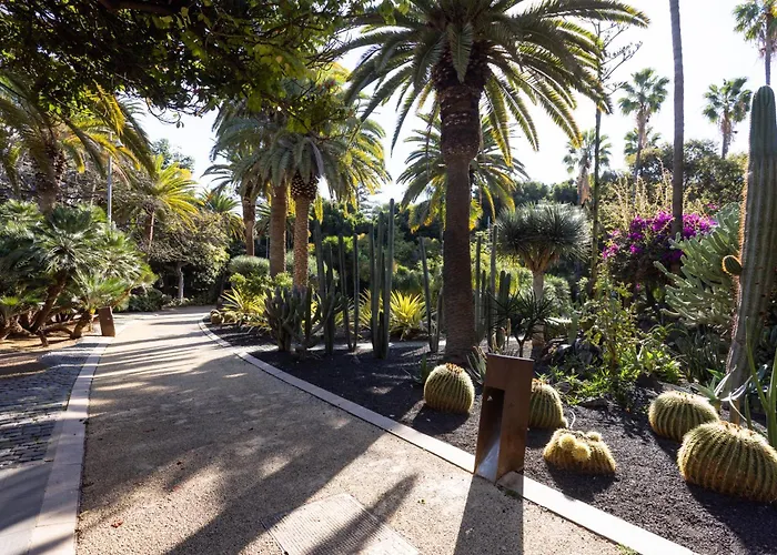 Home2book Stylish Sea Views Cruz