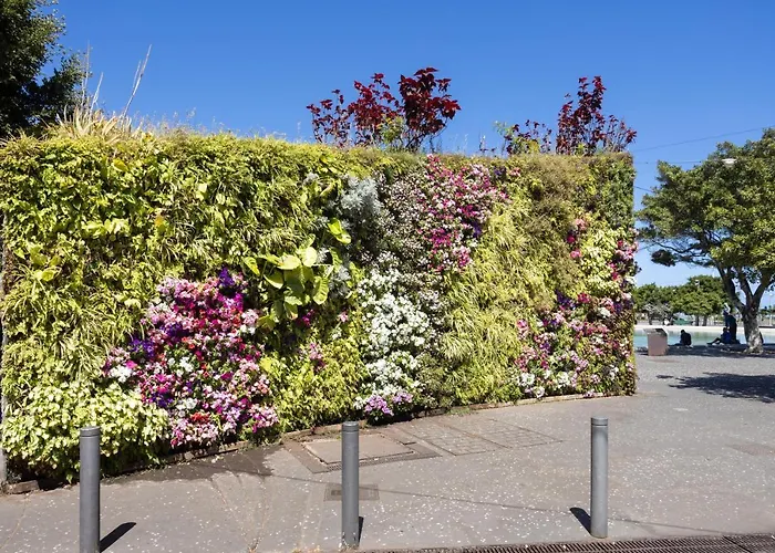 Home2book Stylish Sea Views Cruz *