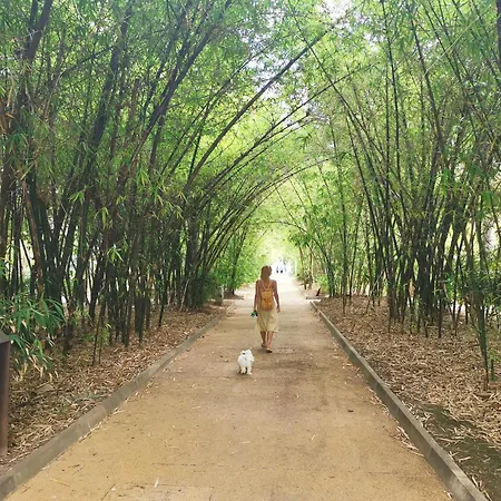 Home2book Stylish Sea Views Cruz Santa Cruz de Tenerife