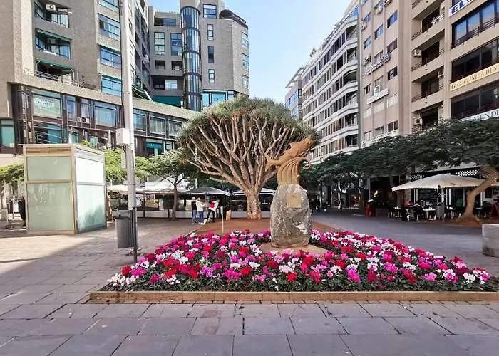 Home2book Stylish Sea Views Cruz Санта-Крус-де-Тенерифе